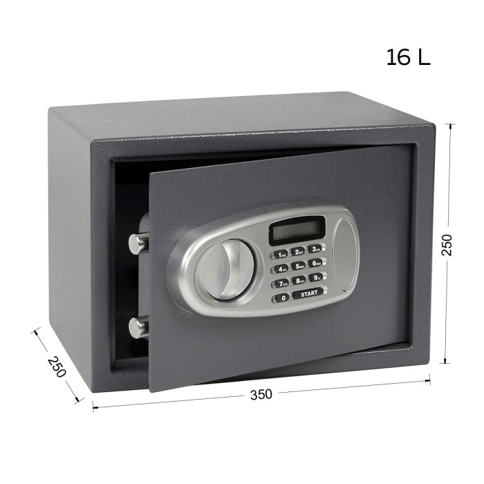 RS.25.LCD